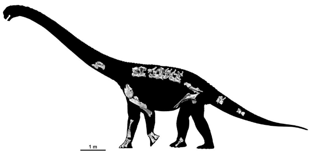 New+Species+of+Dinosaur+Discovered+in+Australia