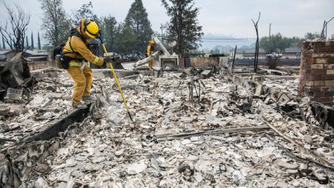 California Forest Fires and the Public’s Reaction
