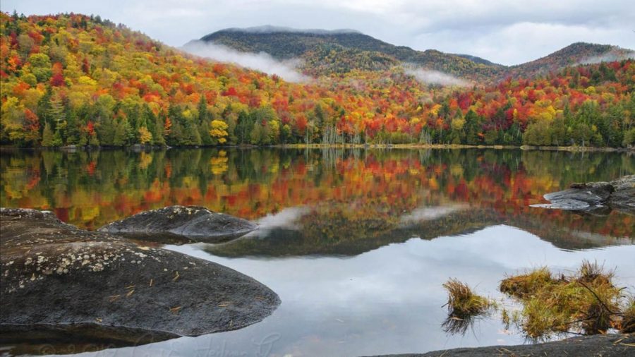 English teacher takes on climate change one book at a time