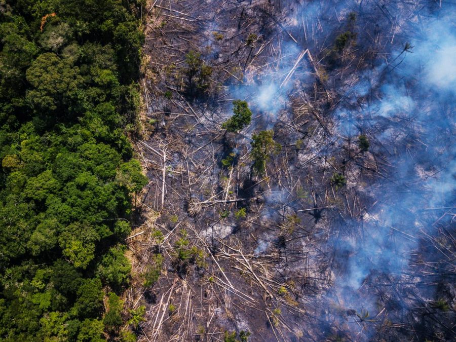 A spike in the  deforestation rate is the leading cause of this years increase in Amazon fires.

Dado Galdieri / Getty Images