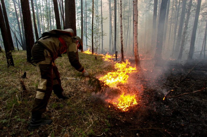 Fires in the siberian tundra