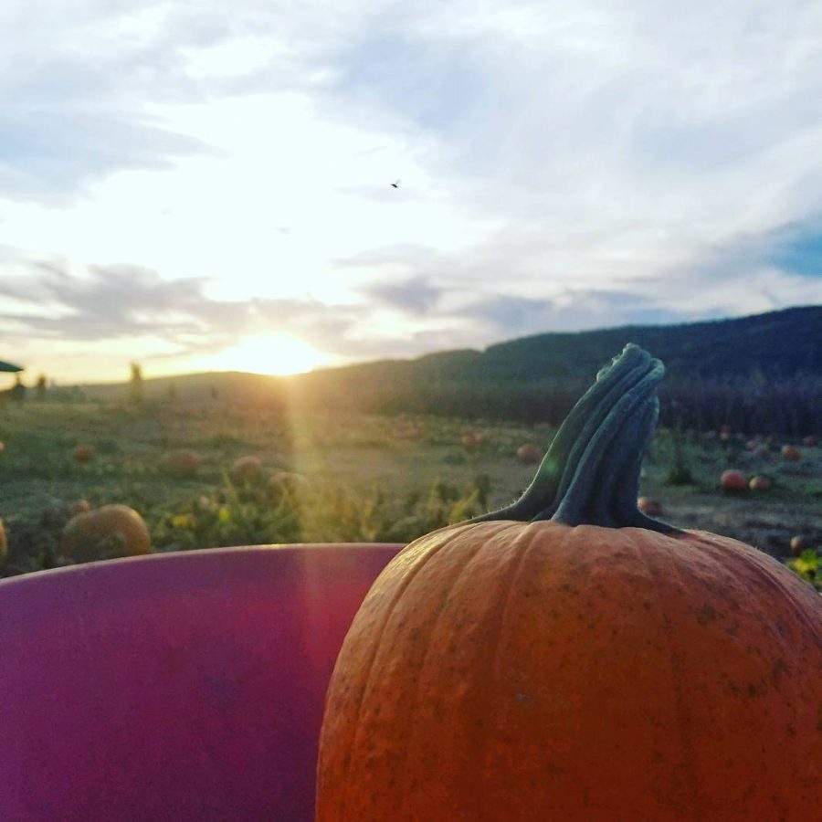 October 22, 2017, taken at Donaldsons Farm
