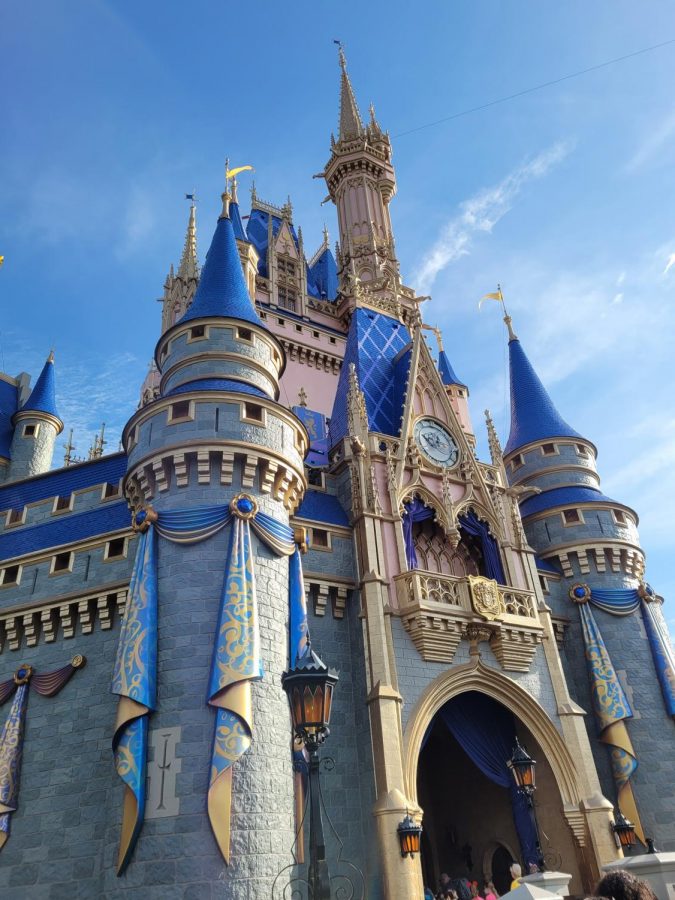 Disney in COVID: Characters, Rides, and Social Distancing!