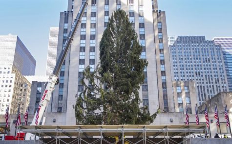 Christmas Tree of 2020. Photo Courtesy of AP Photo/Craig Ruttle