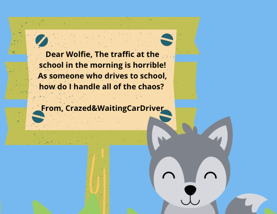 Dear Wolfie, Terrible Traffic Troubles!