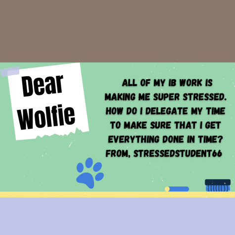 Dear Wolfie, IB Stress & Nothing Less