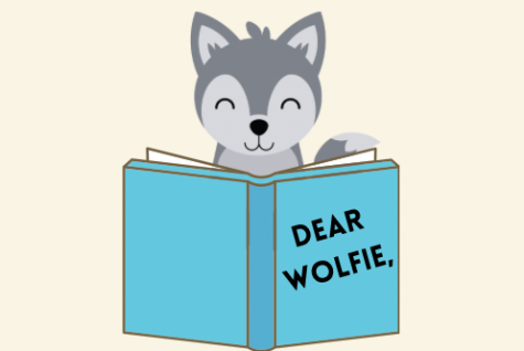 Dear Wolfie, School(Sleep)Time