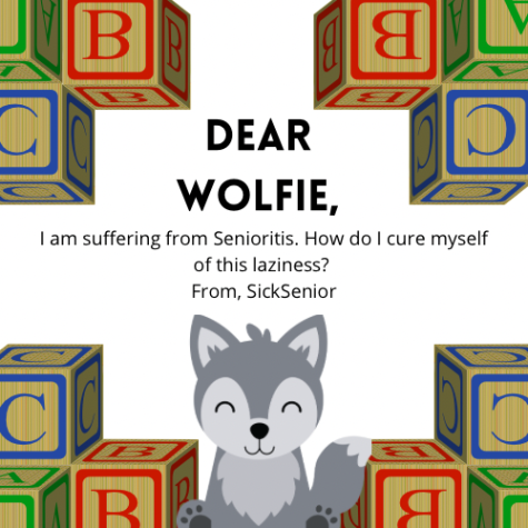 Dear Wolfie, Senioritis Strikes