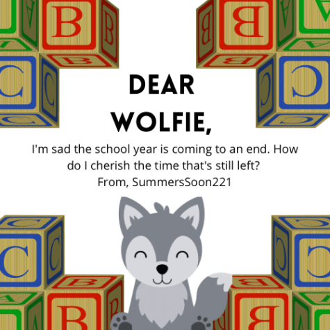 Dear Wolfie, Summertime Sadness