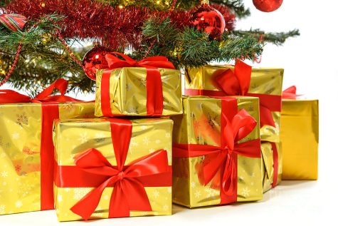 The Paws Gift Guide