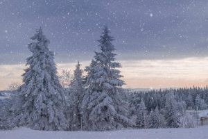 A White Christmas for 2023