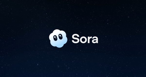 Sora Logo